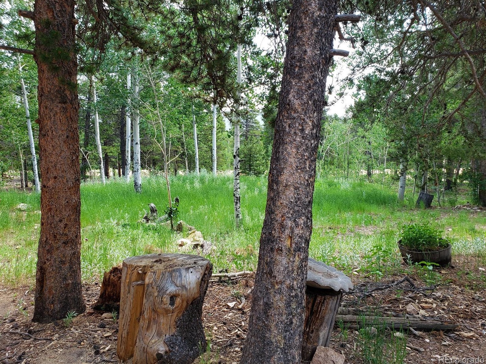 125 Lodge Pole Dr, Arvada CO  80422-8948 exterior