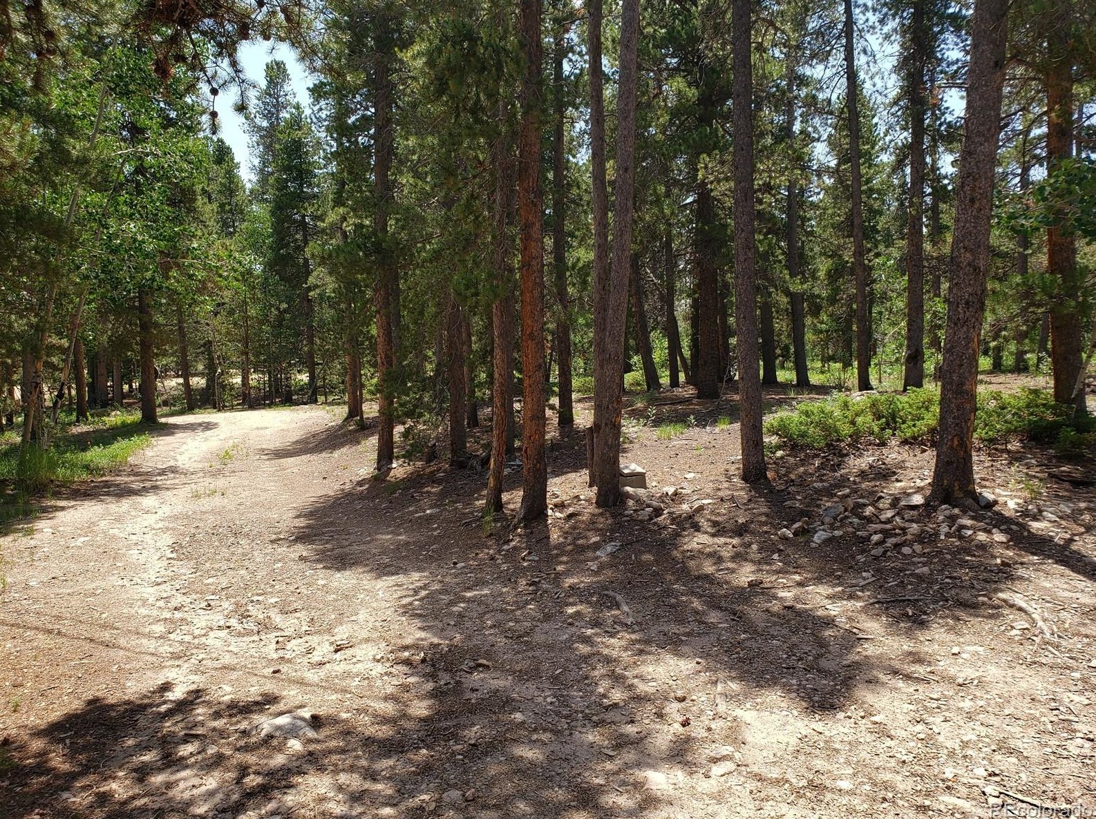 125 Lodge Pole Dr, Arvada CO  80422-8948 exterior