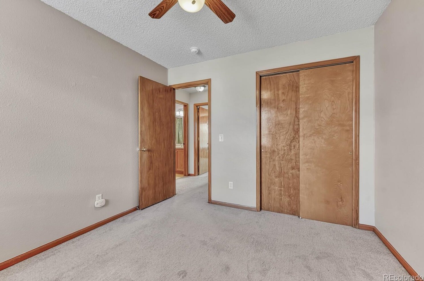 5904 Fossil Dr, Colorado Springs CO  80923-7689 exterior