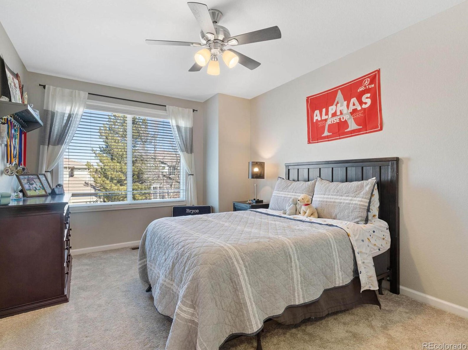 2816 Greensborough Dr, Littleton CO 80129-1531 exterior