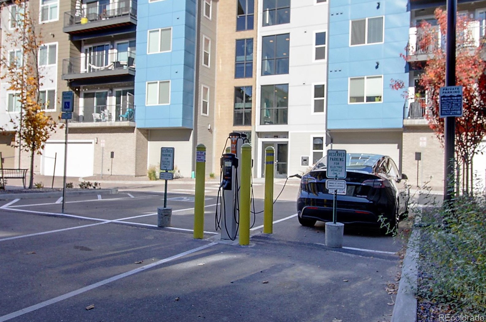 480 Fremont Pl, Littleton CO  80122 exterior