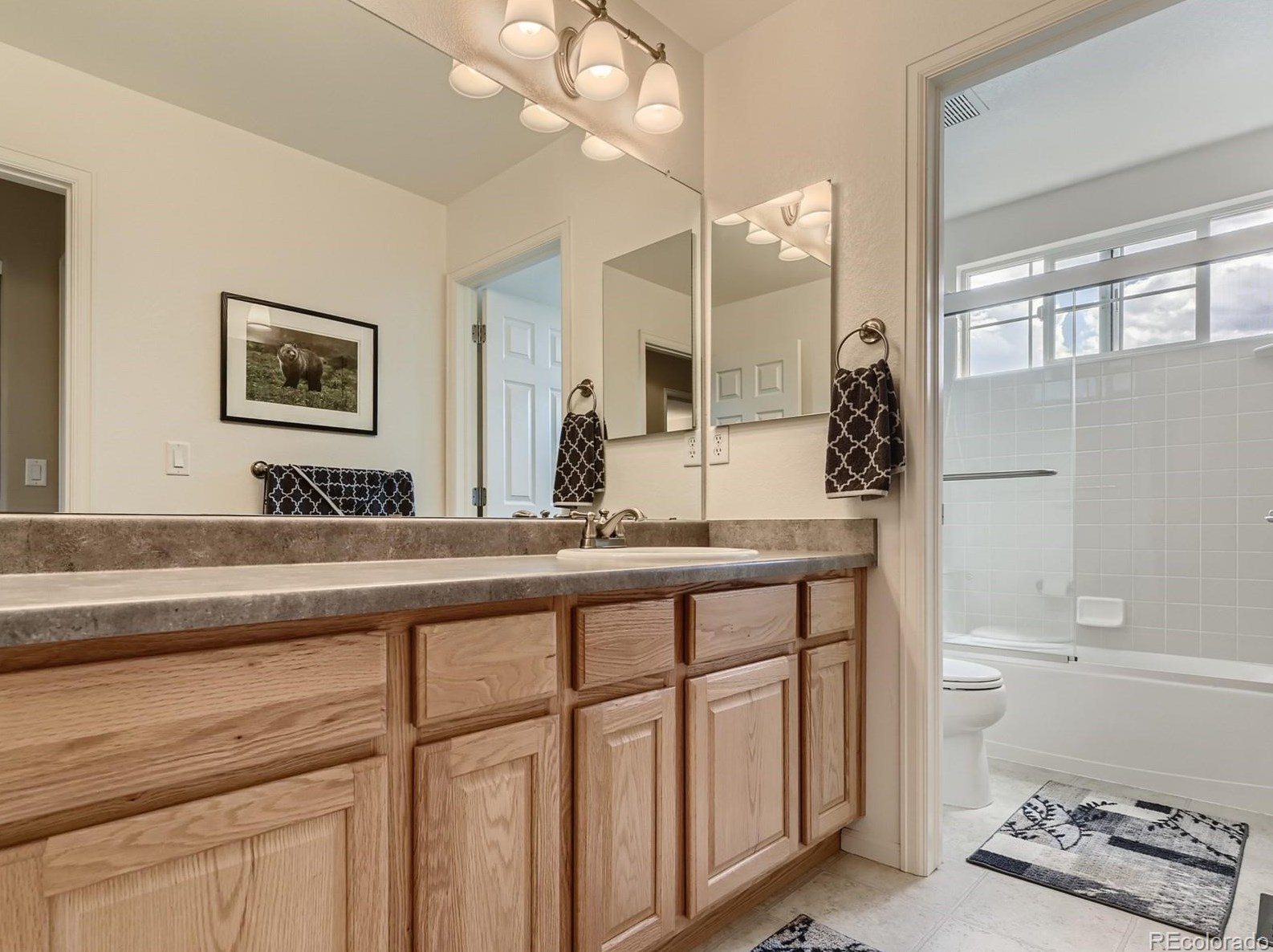 10563 Polk Pl, Littleton CO 80123-3150 exterior