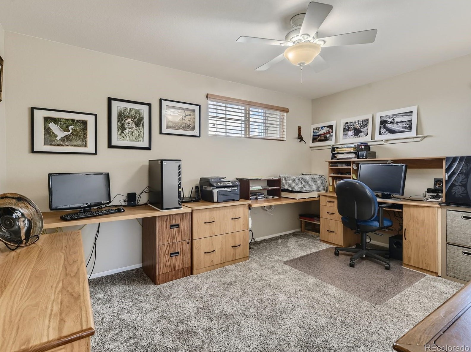 10563 Polk Pl, Littleton CO 80123-3150 exterior