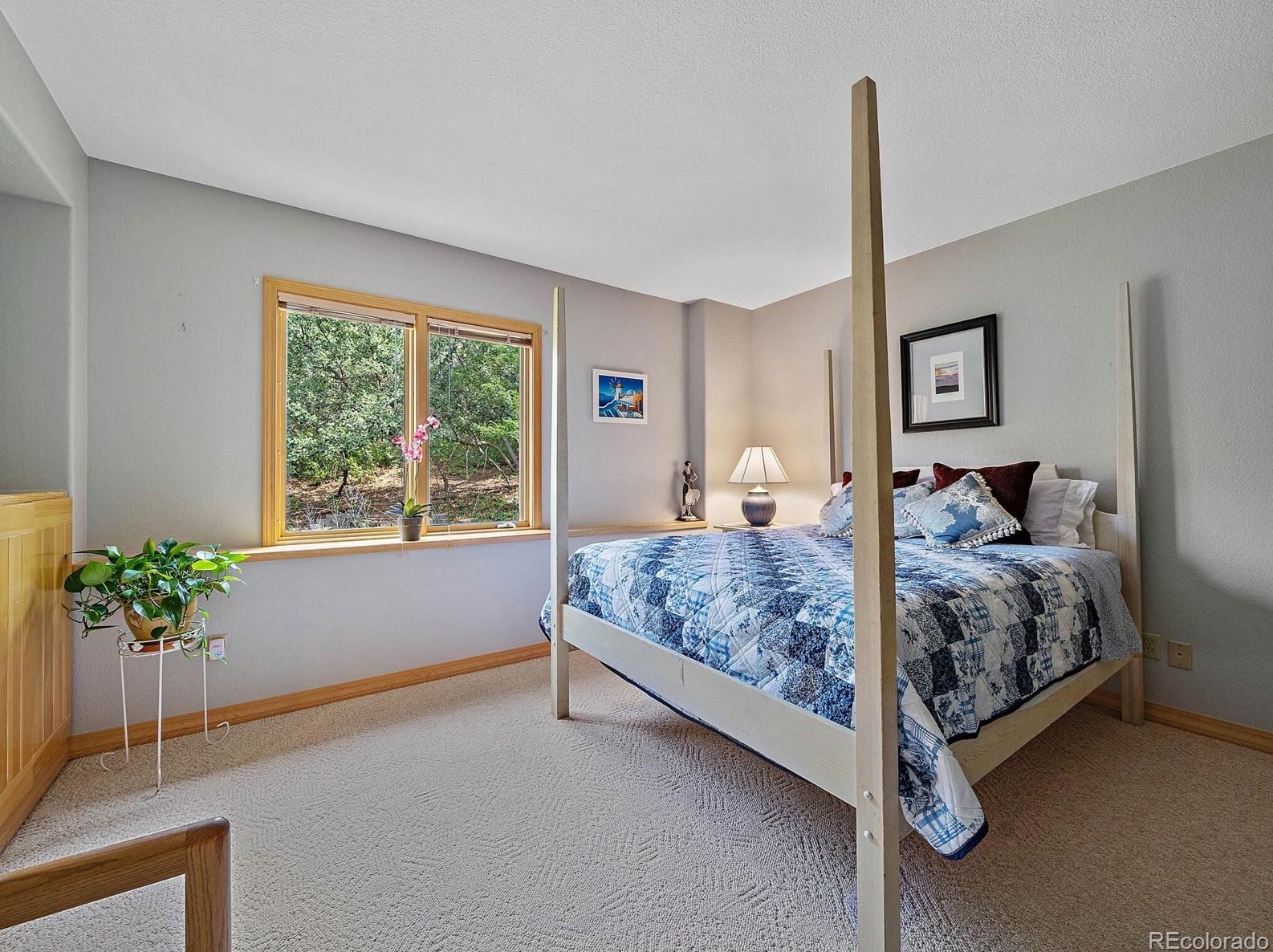 10337 Totem Run, Littleton CO 80125-9009 exterior