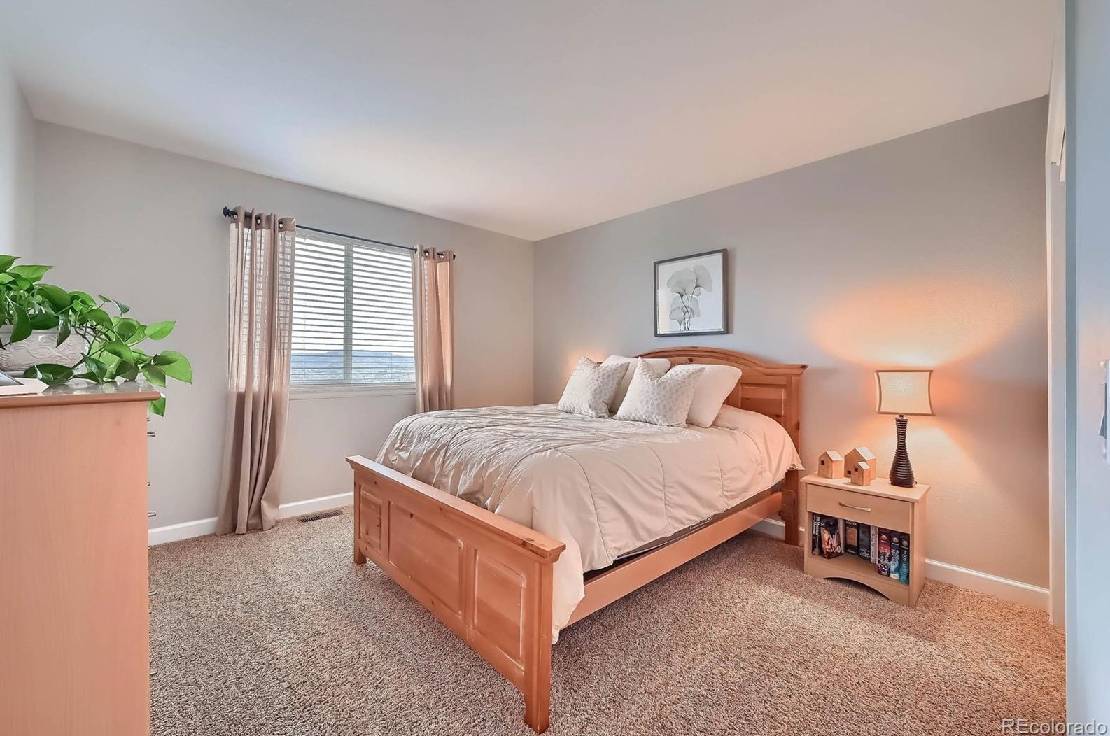 1947 Rose Petal Ct, Castle Rock CO 80109-3540 exterior