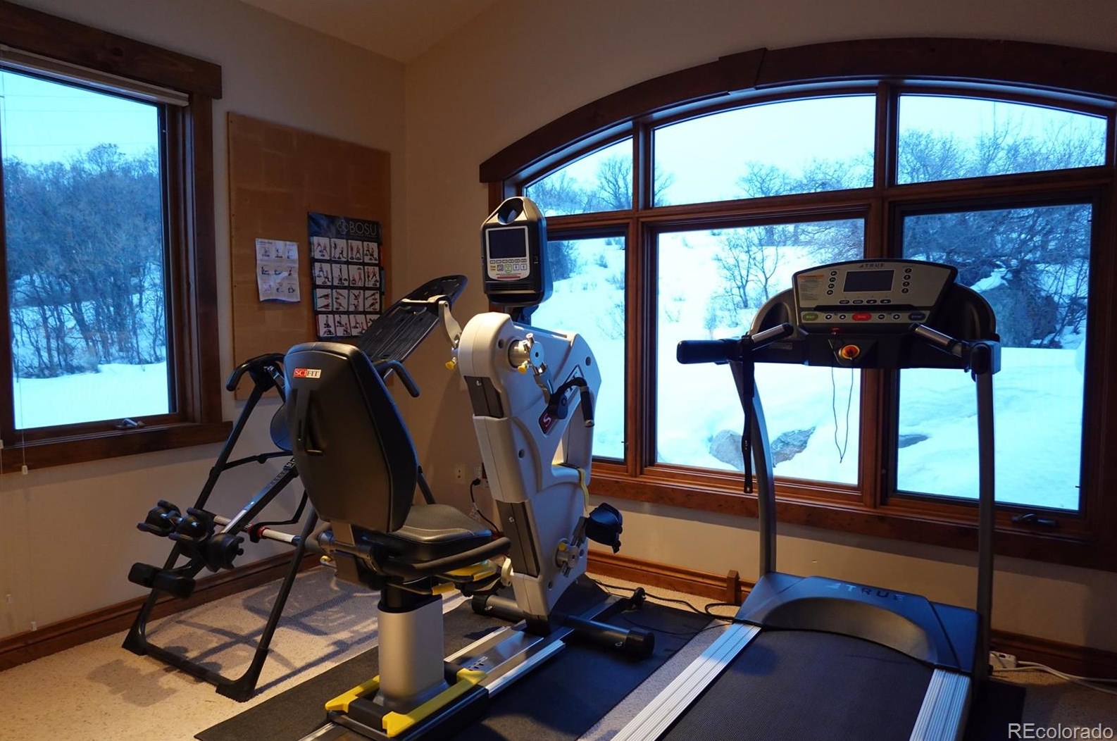 260 Storm Peak Ct, Steamboat Springs CO 80487-3100 exterior