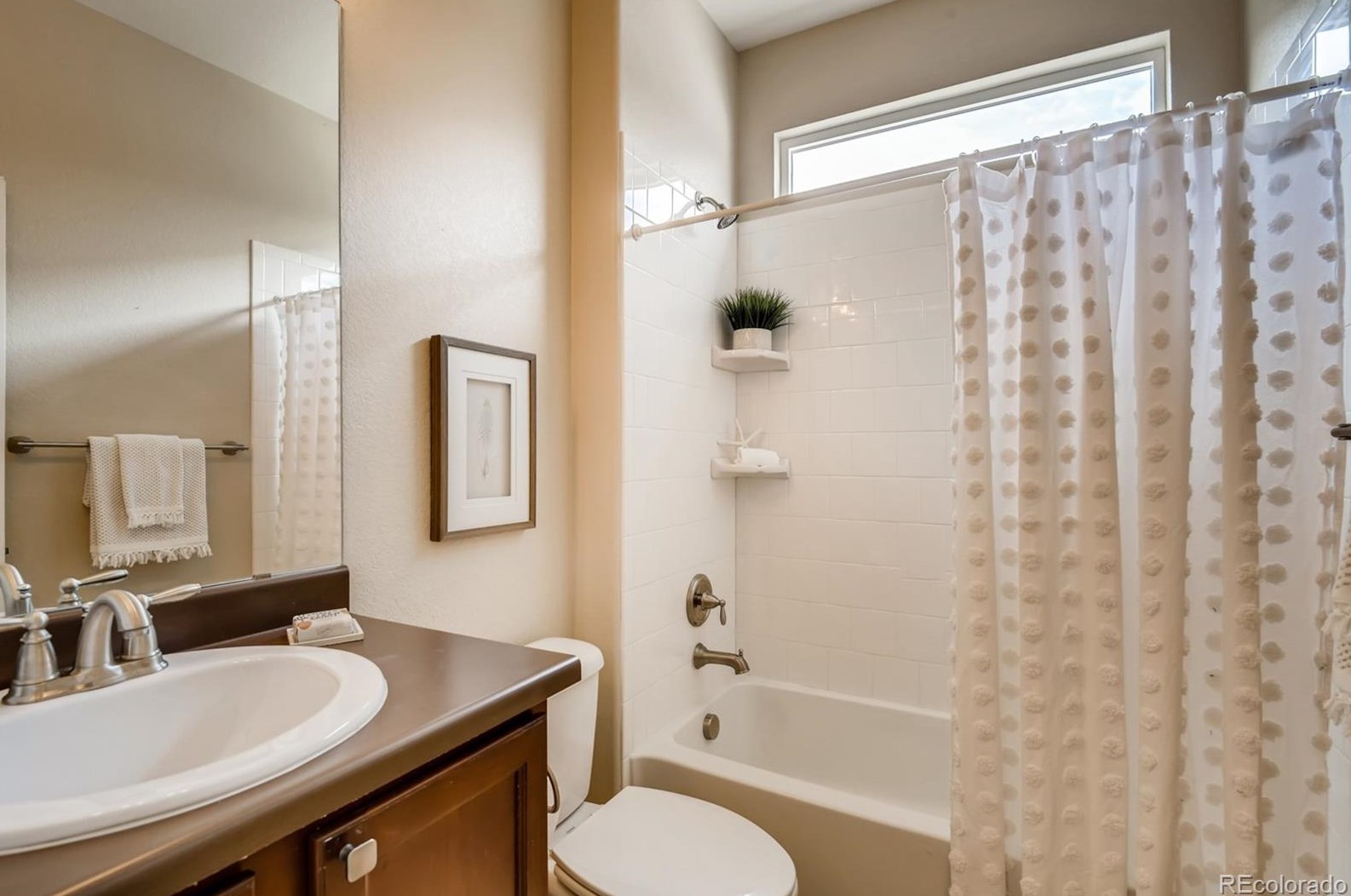 9169 Flora St, Arvada CO  80005-1420 exterior