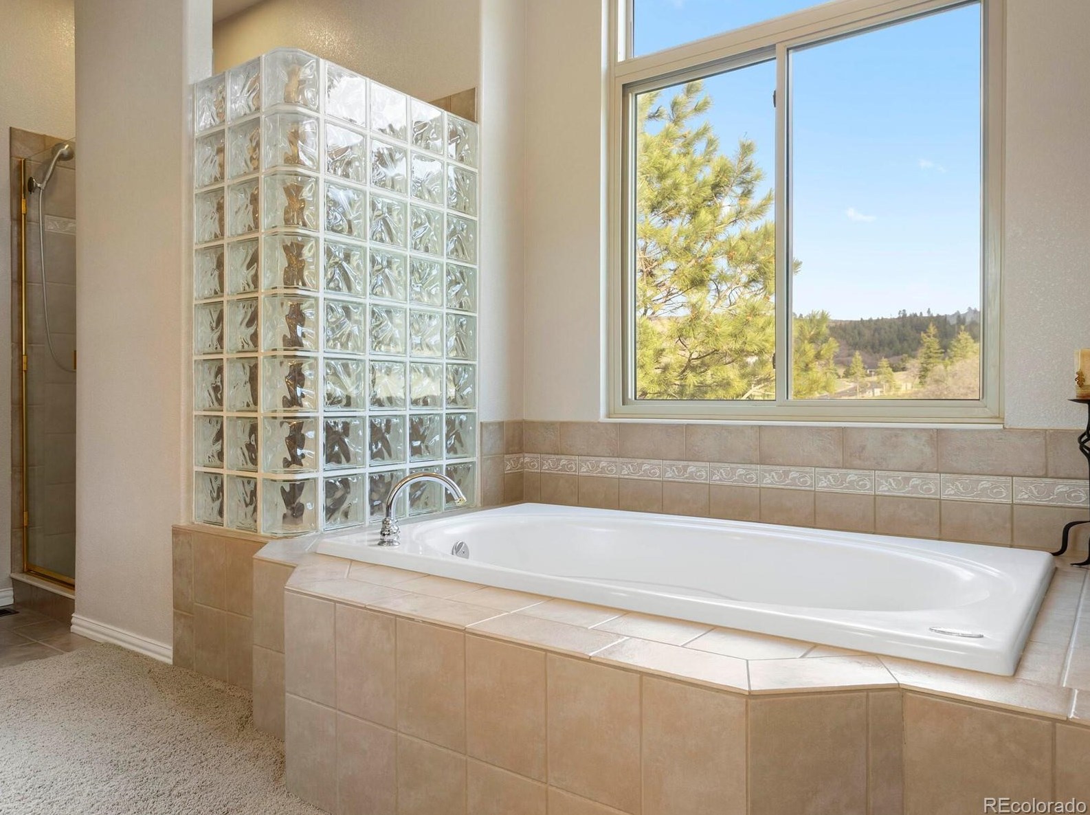 4587 High Spg Rd, Castle Rock CO 80104-7718 exterior