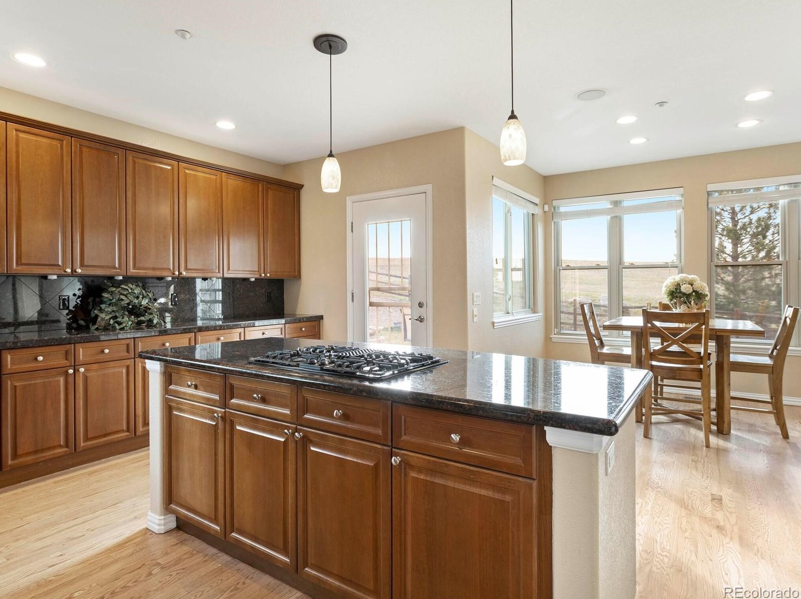 4587 High Spg Rd, Castle Rock CO 80104-7718 exterior