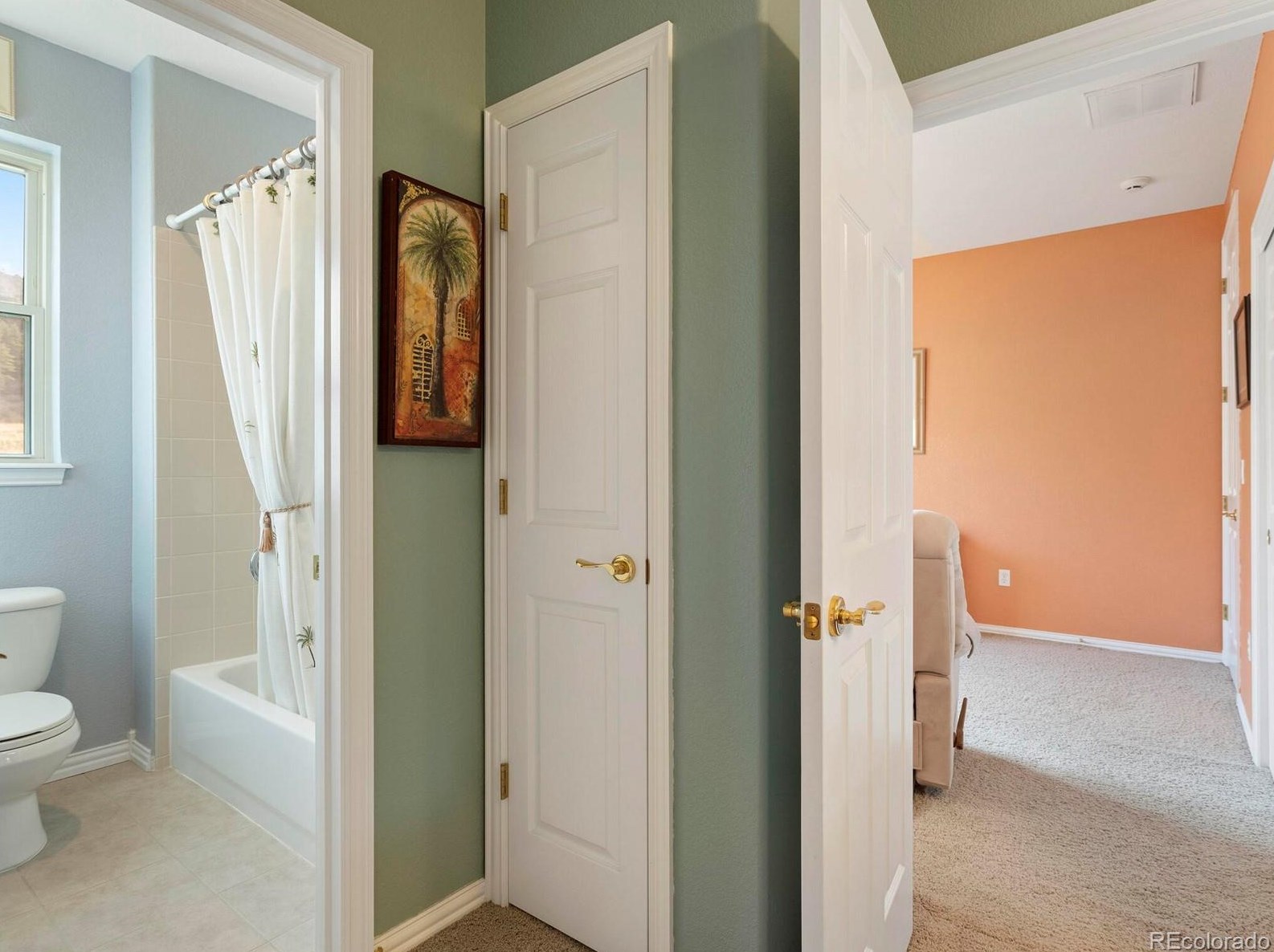 4587 High Spg Rd, Castle Rock CO 80104-7718 exterior