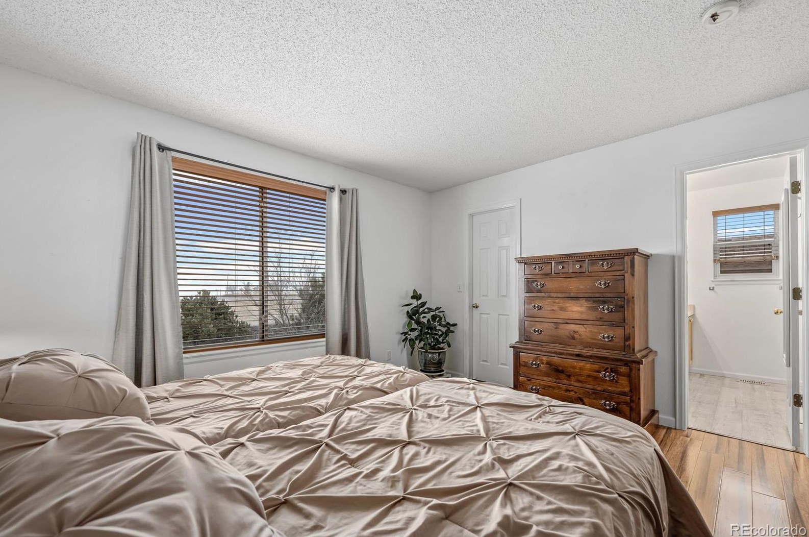 4370 Decatur Ave, Castle Rock CO 80104-8774 exterior