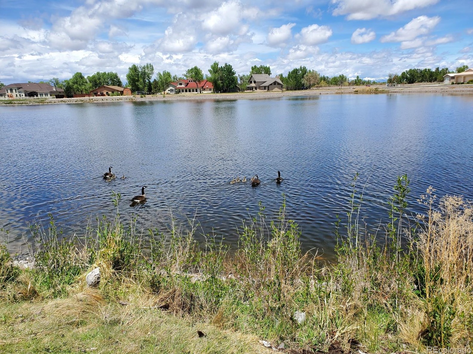 314 Riverwood Dr, Alamosa CO 81101-2190 exterior