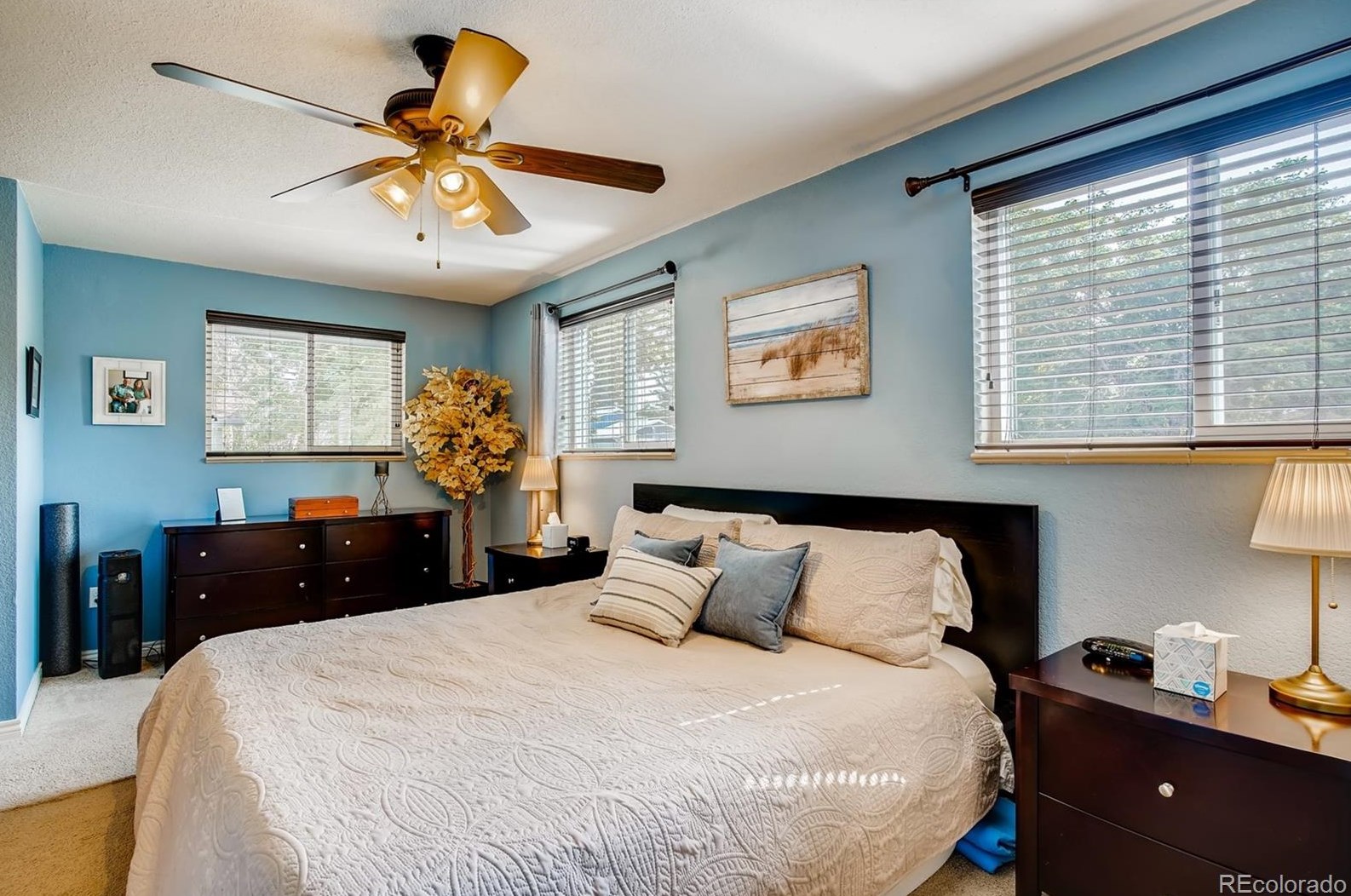 6249 Marion Way, Littleton CO 80121-2619 exterior