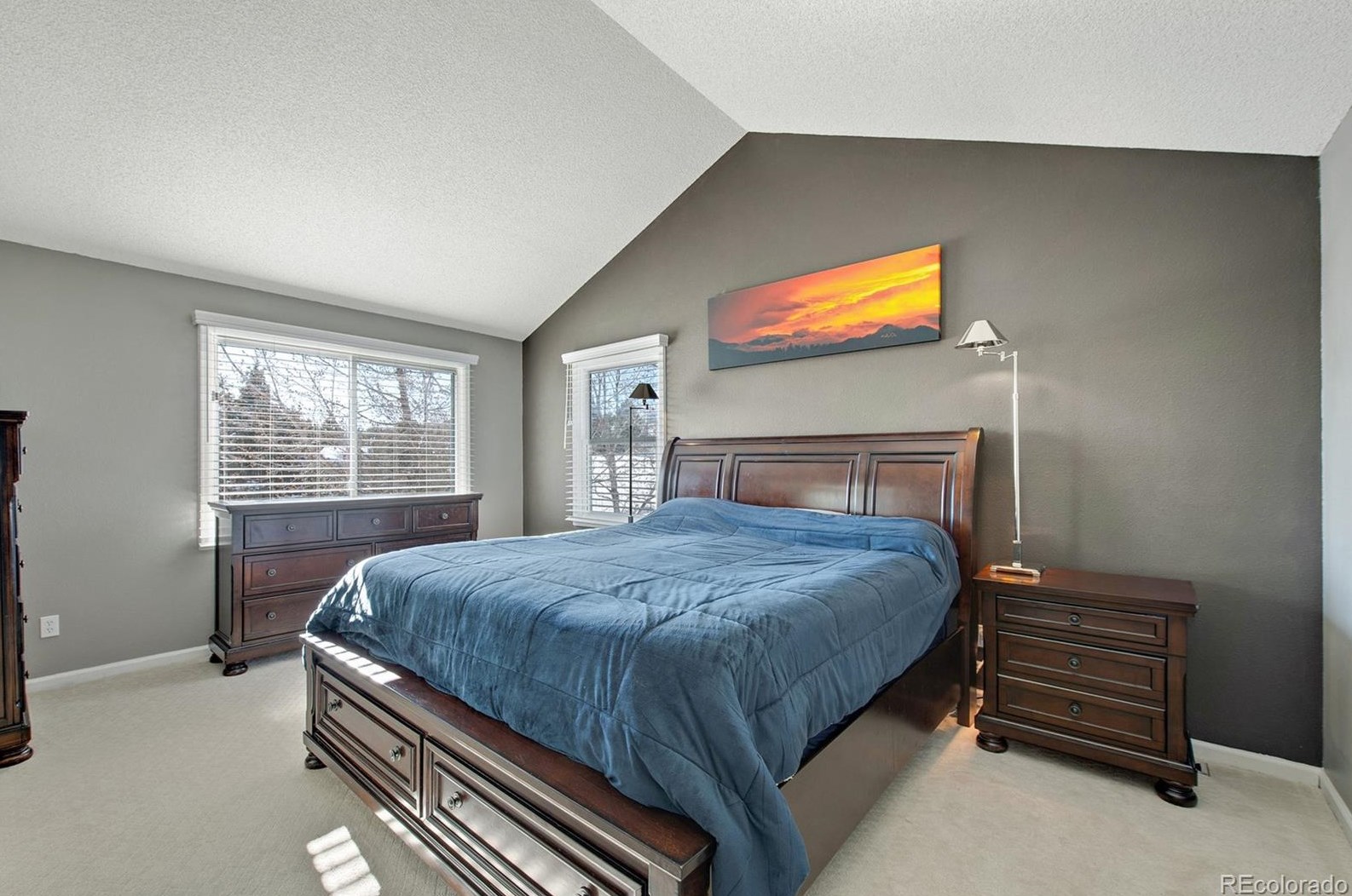 9 Buckthorn Dr, Littleton CO 80127-4316 exterior