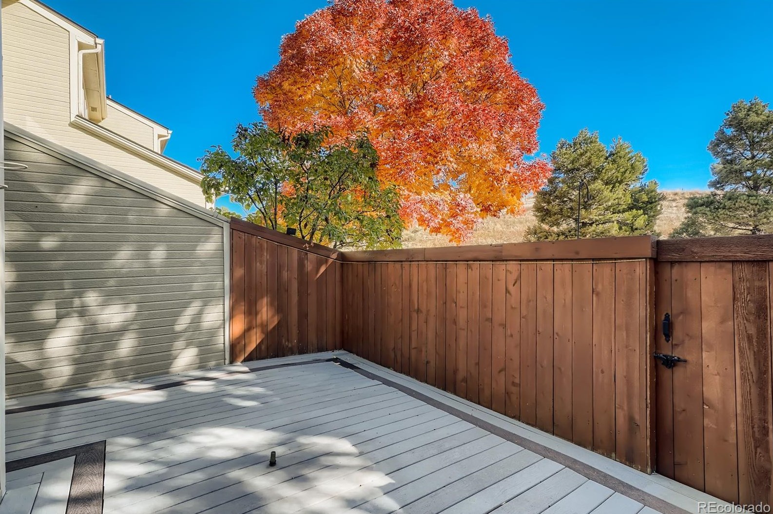 7346 Independence St, Littleton CO 80128-4159 exterior