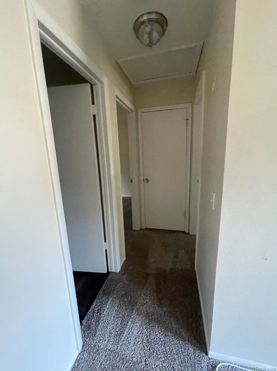 8717 86 Dr, Arvada CO 80005-1576 exterior