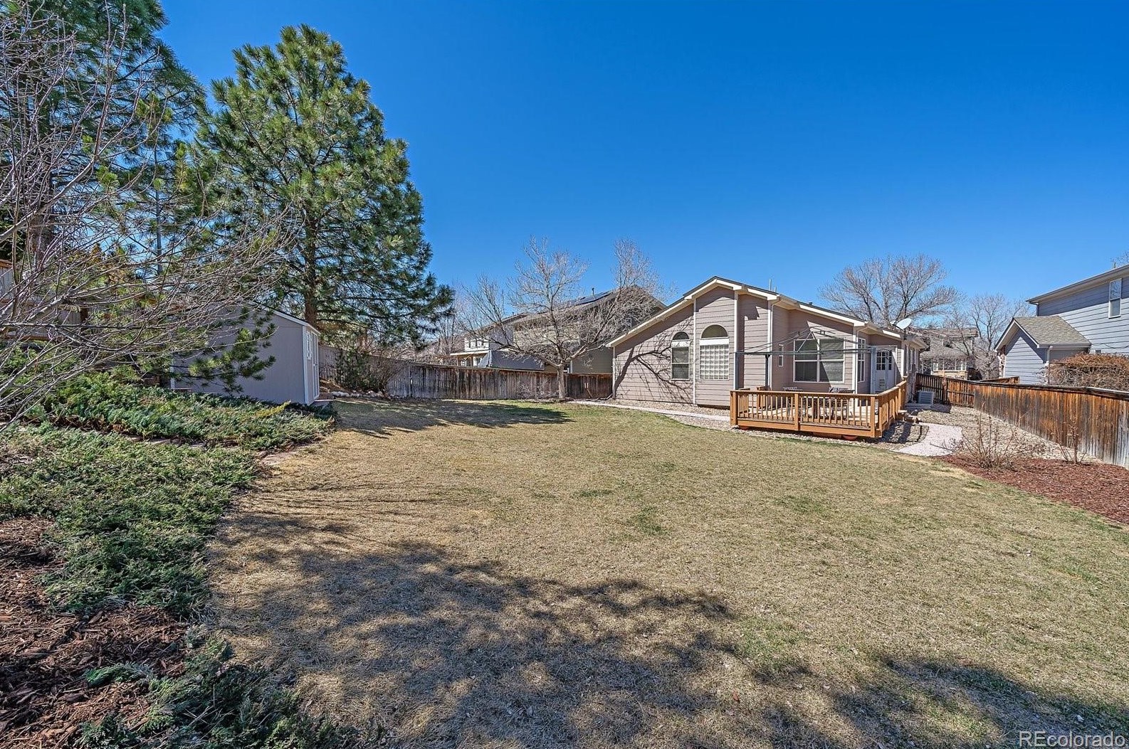 5617 Cheetah Chase, Littleton CO  80124-9592 exterior