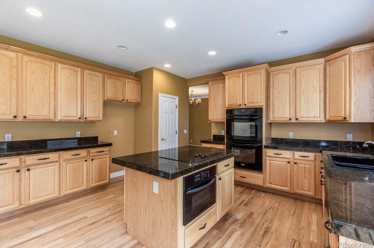 3211 Coyote Hills Ct, Castle Rock CO 80109-7933 exterior