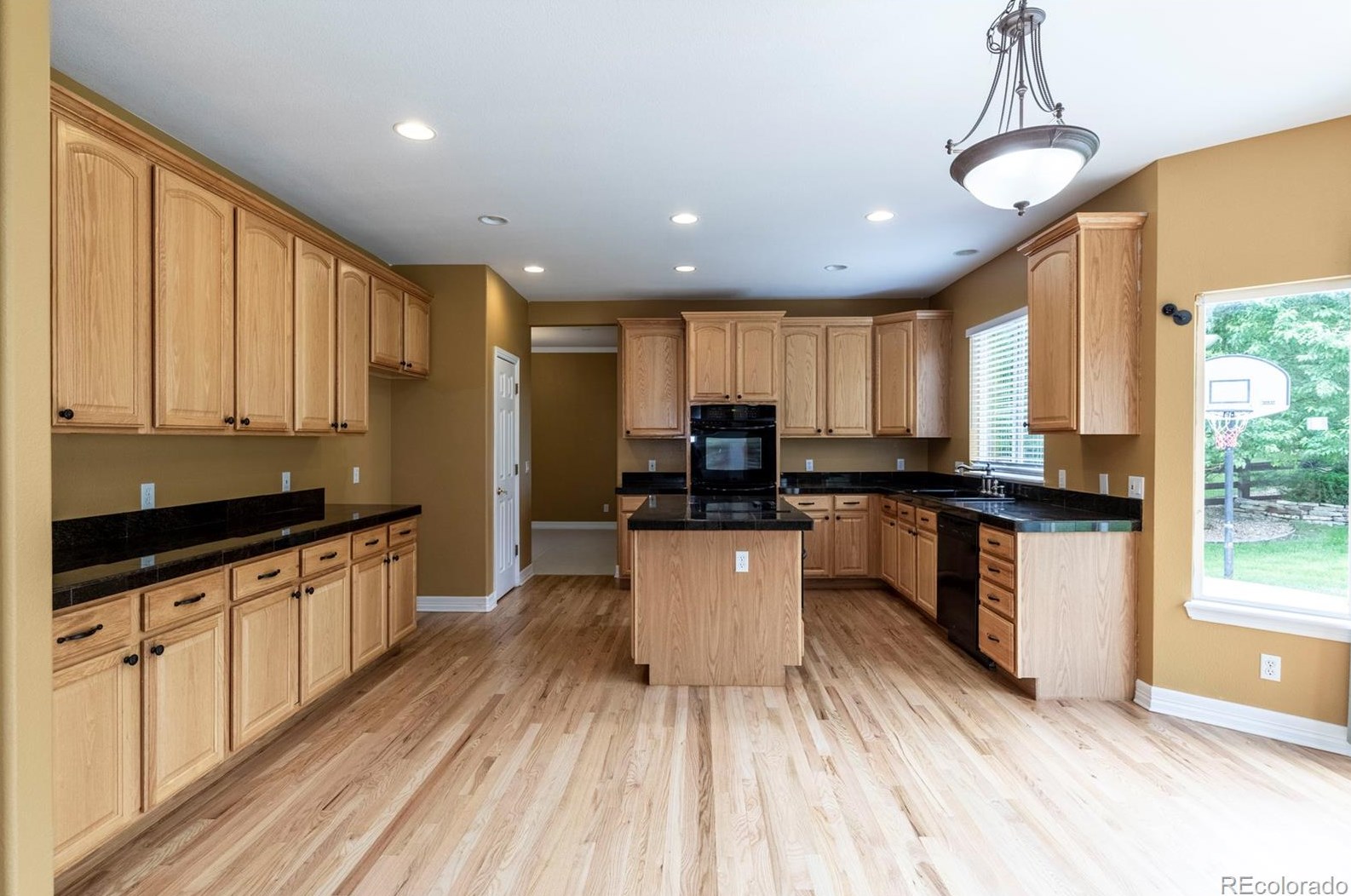 3211 Coyote Hills Ct, Castle Rock CO 80109-7933 exterior