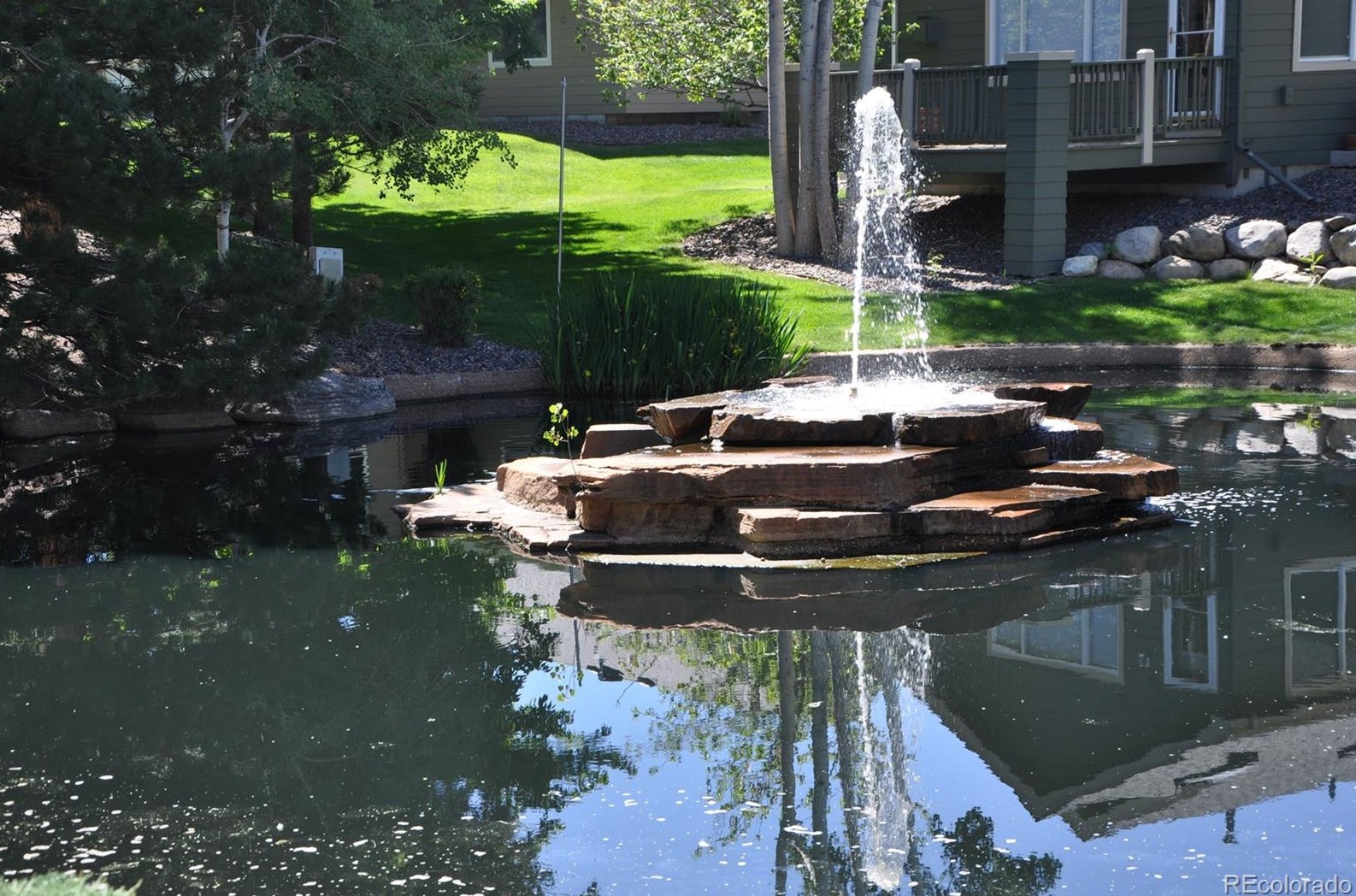 15334 67 Ave, Arvada CO  80007-7015 exterior