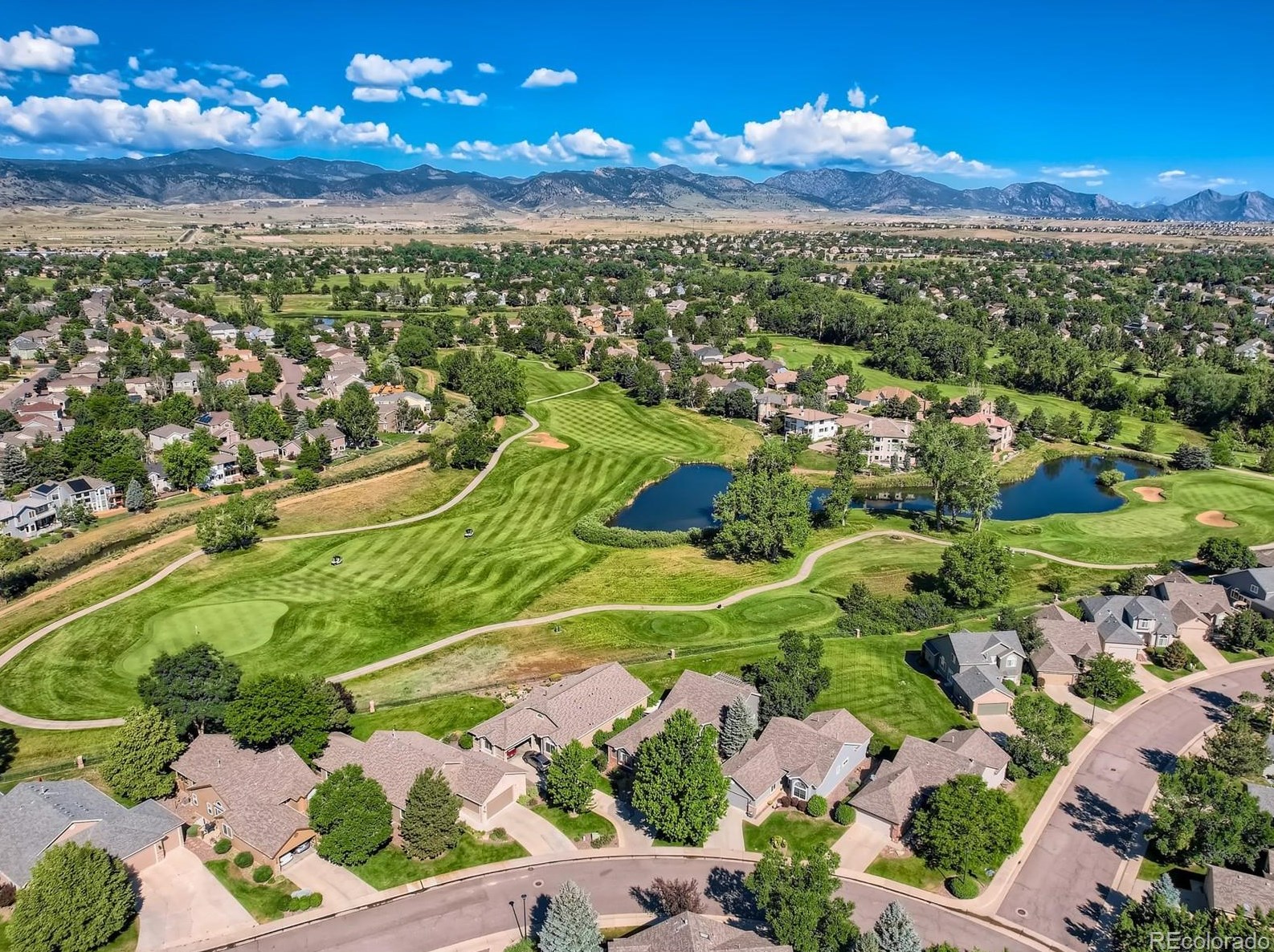 15334 67 Ave, Arvada CO  80007-7015 exterior