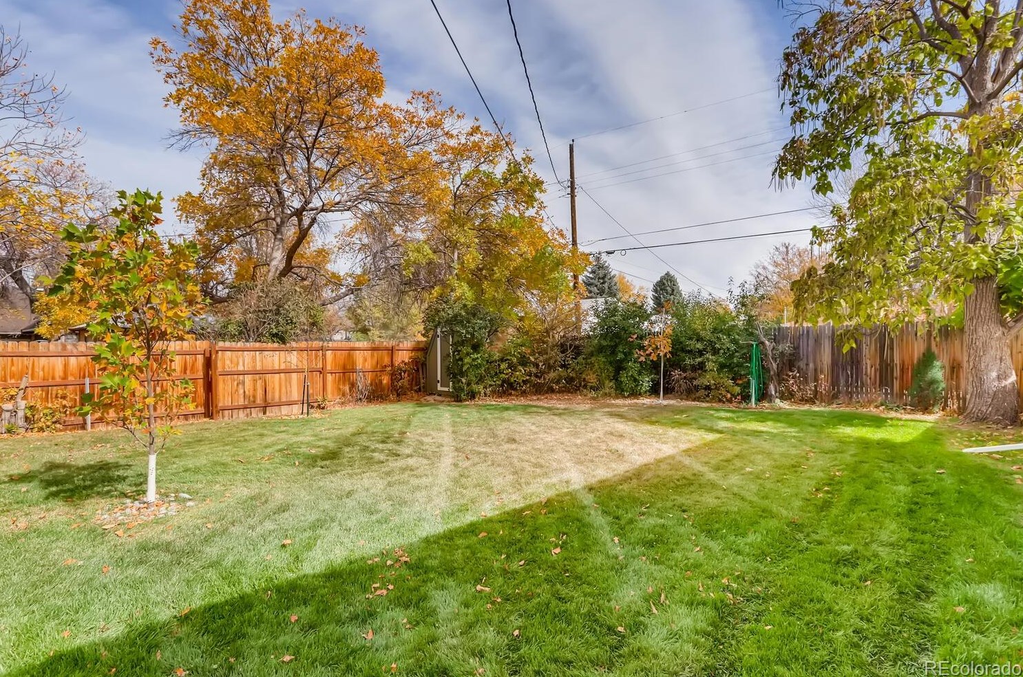 6462 Spotswood St, Littleton CO  80120-3147 exterior