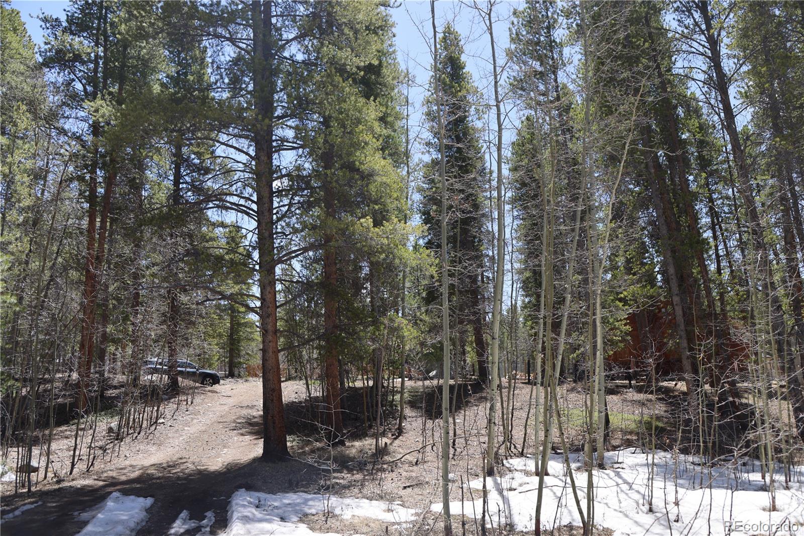 1806 Gold Dr, Leadville, CO 80461 MLS 5406398 Coldwell Banker