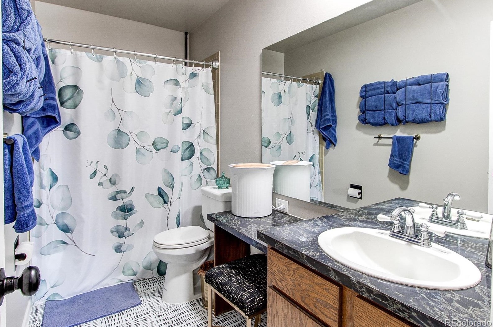 4241 Ponds Cir, Littleton CO  80123-6563 exterior