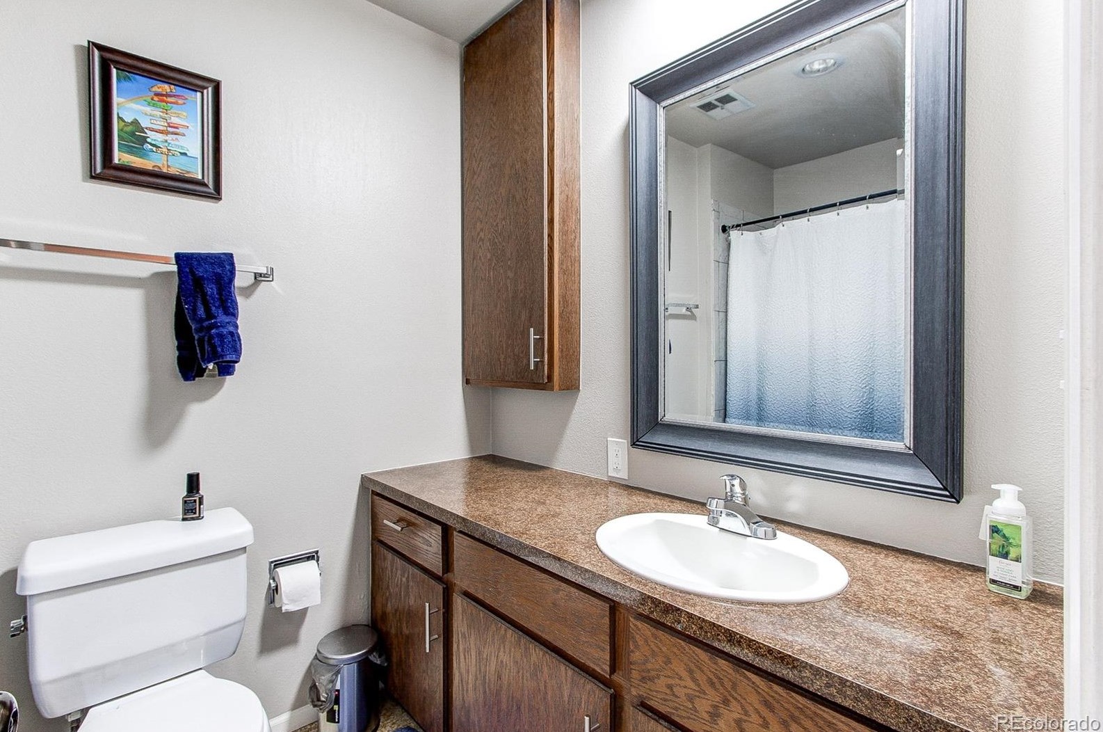 4241 Ponds Cir, Littleton CO  80123-6563 exterior