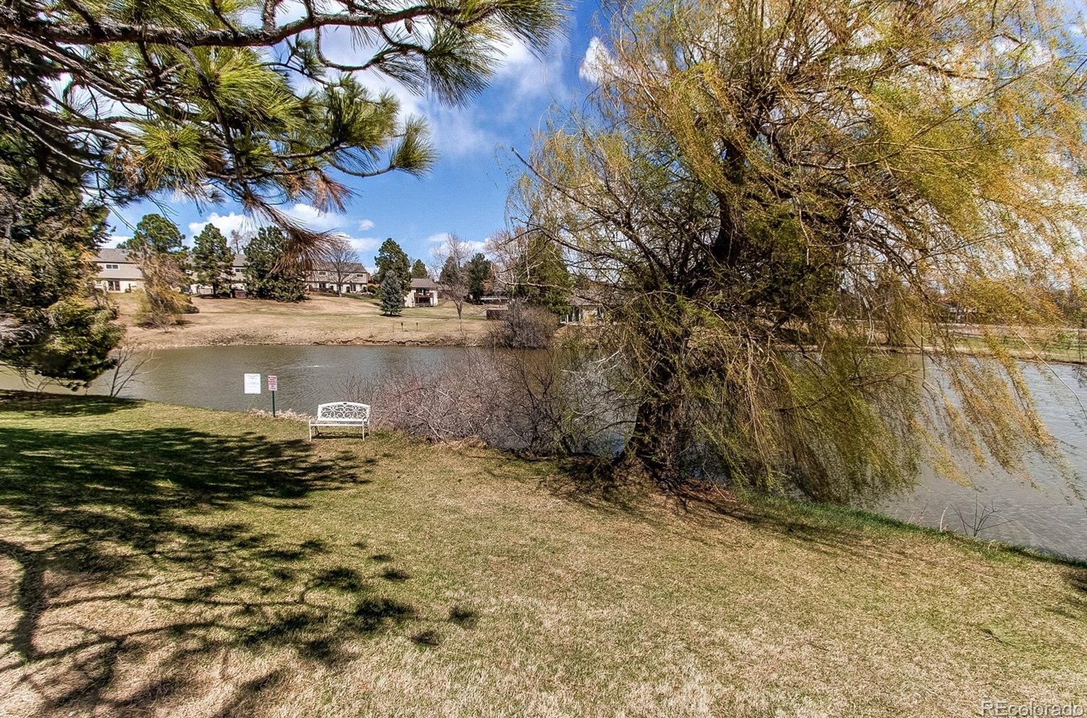 4241 Ponds Cir, Littleton CO  80123-6563 exterior