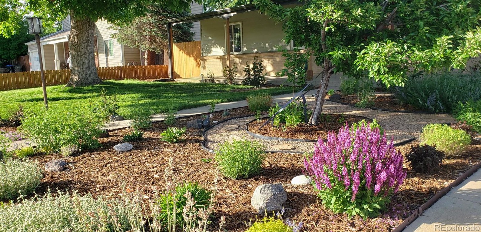 6616 Reed Ct, Arvada CO  80003-4005 exterior