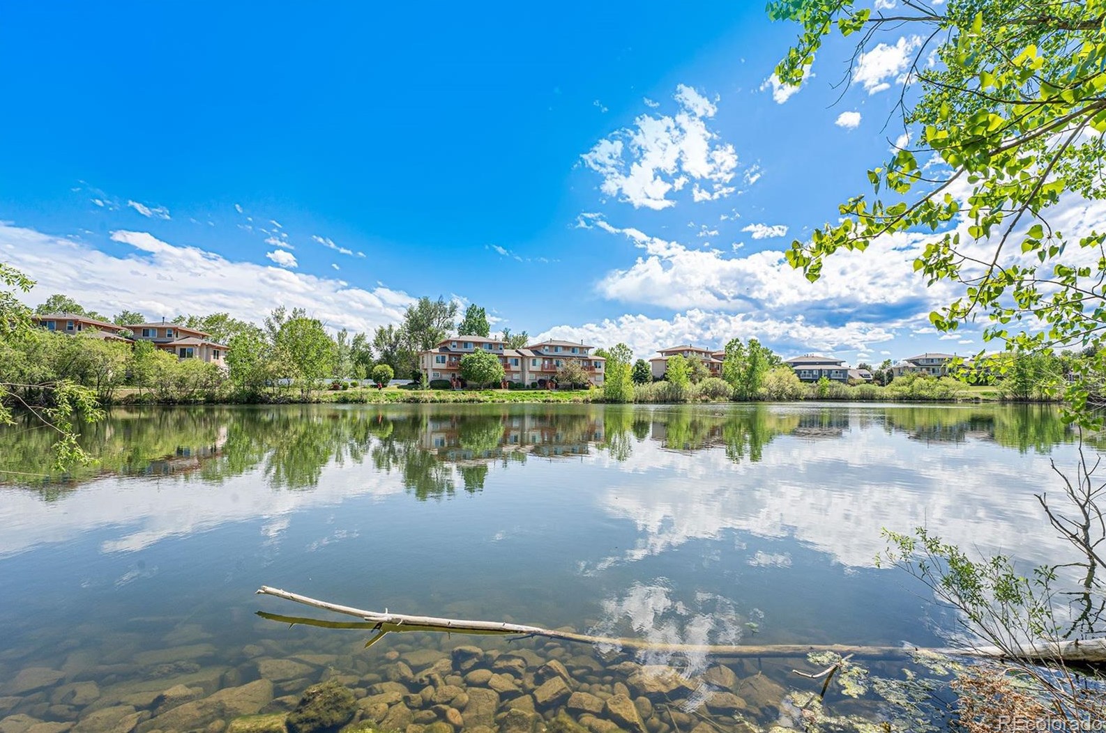 5034 Everett St, Arvada CO  80002-4448 exterior
