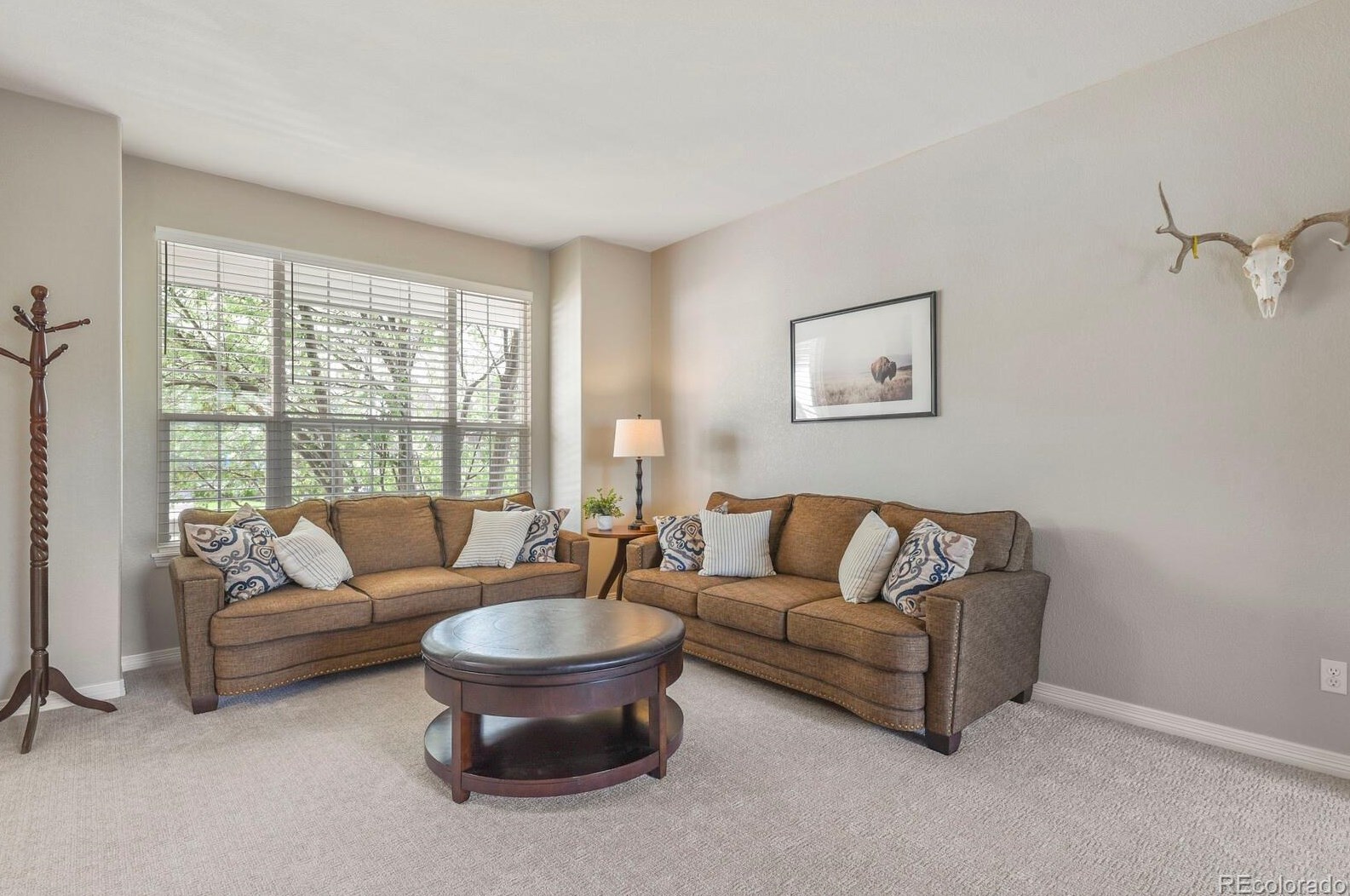 3416 Hawthorne Dr, Littleton CO  80126-7807 exterior