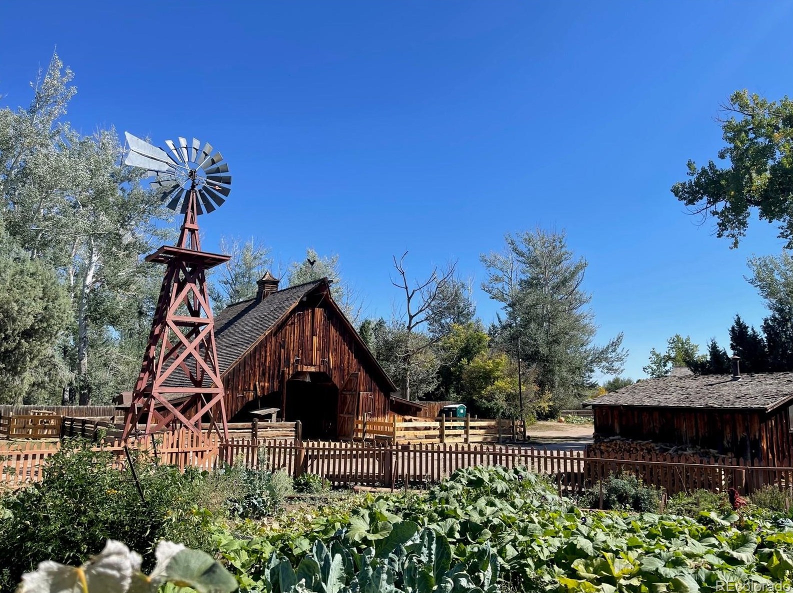 6353 Elati St, Littleton CO  80120-3333 exterior