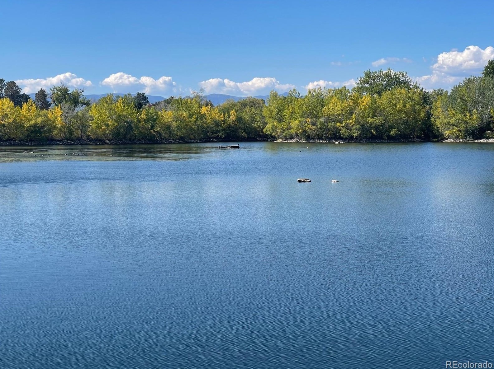 6353 Elati St, Littleton CO  80120-3333 exterior