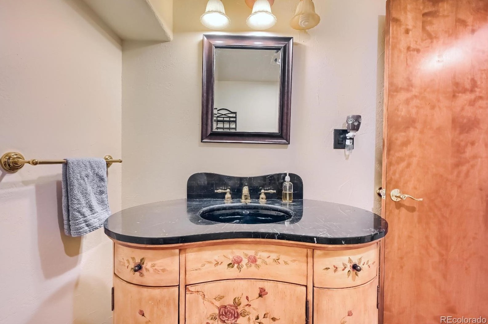 1686 Marsh Hawk Cir, Castle Rock CO  80109-3519 exterior