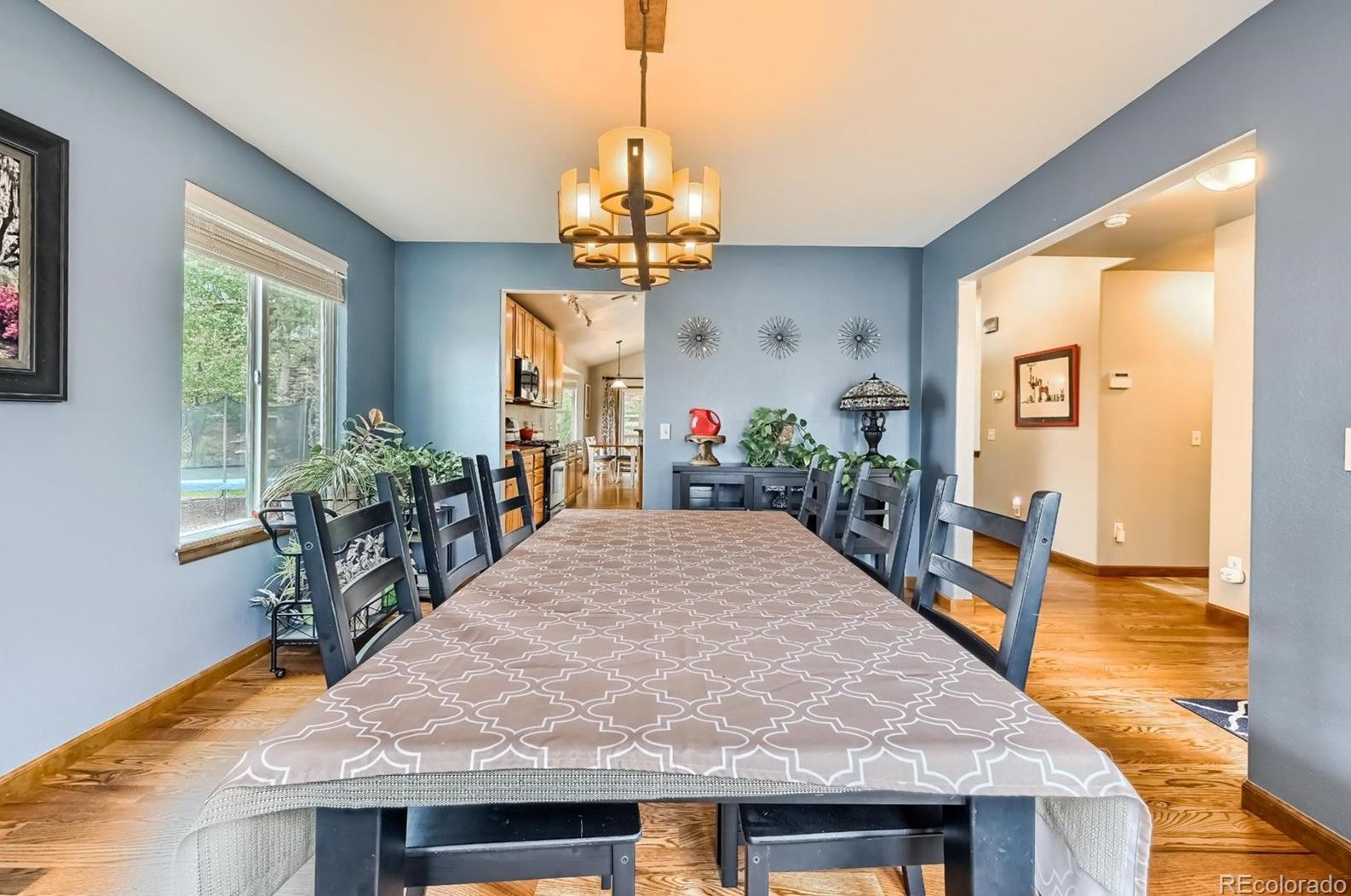 1686 Marsh Hawk Cir, Castle Rock CO  80109-3519 exterior