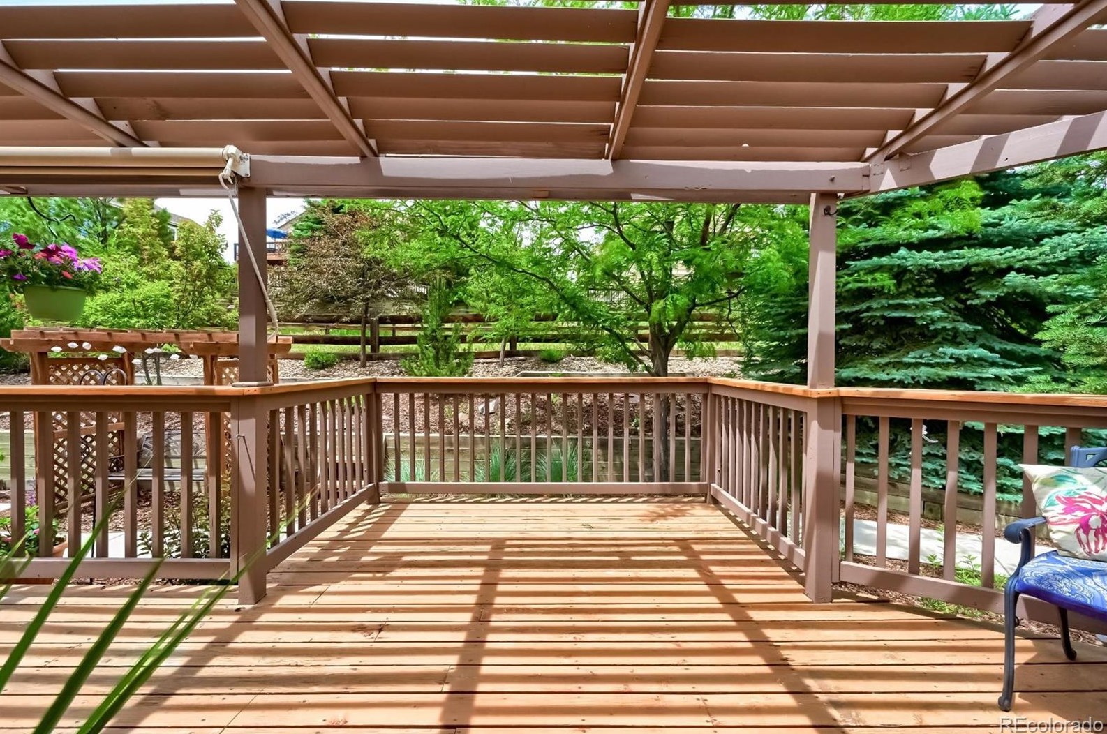 1686 Marsh Hawk Cir, Castle Rock CO  80109-3519 exterior