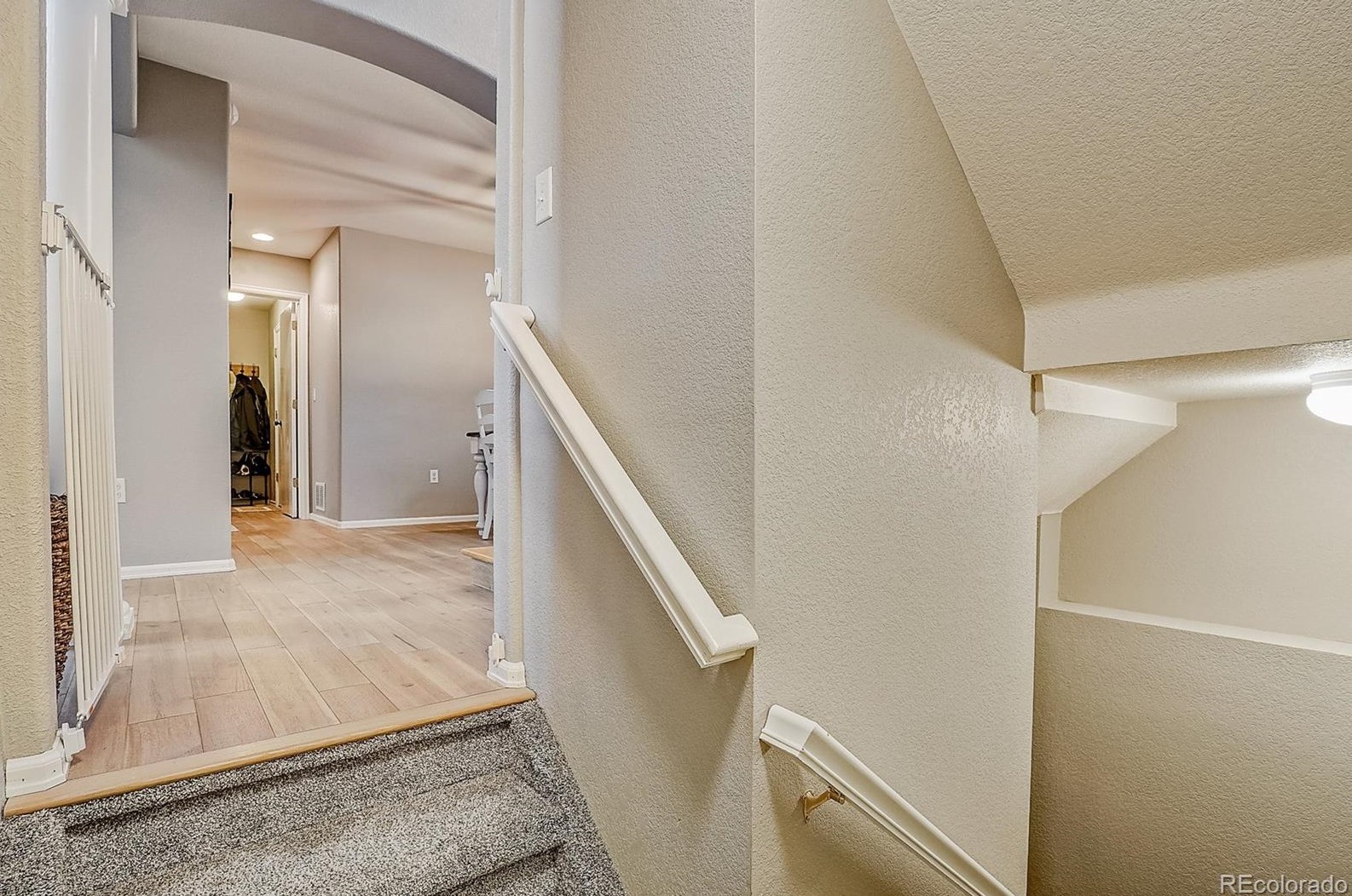 3505 Morning Glory Dr, Castle Rock CO  80109-8490 exterior