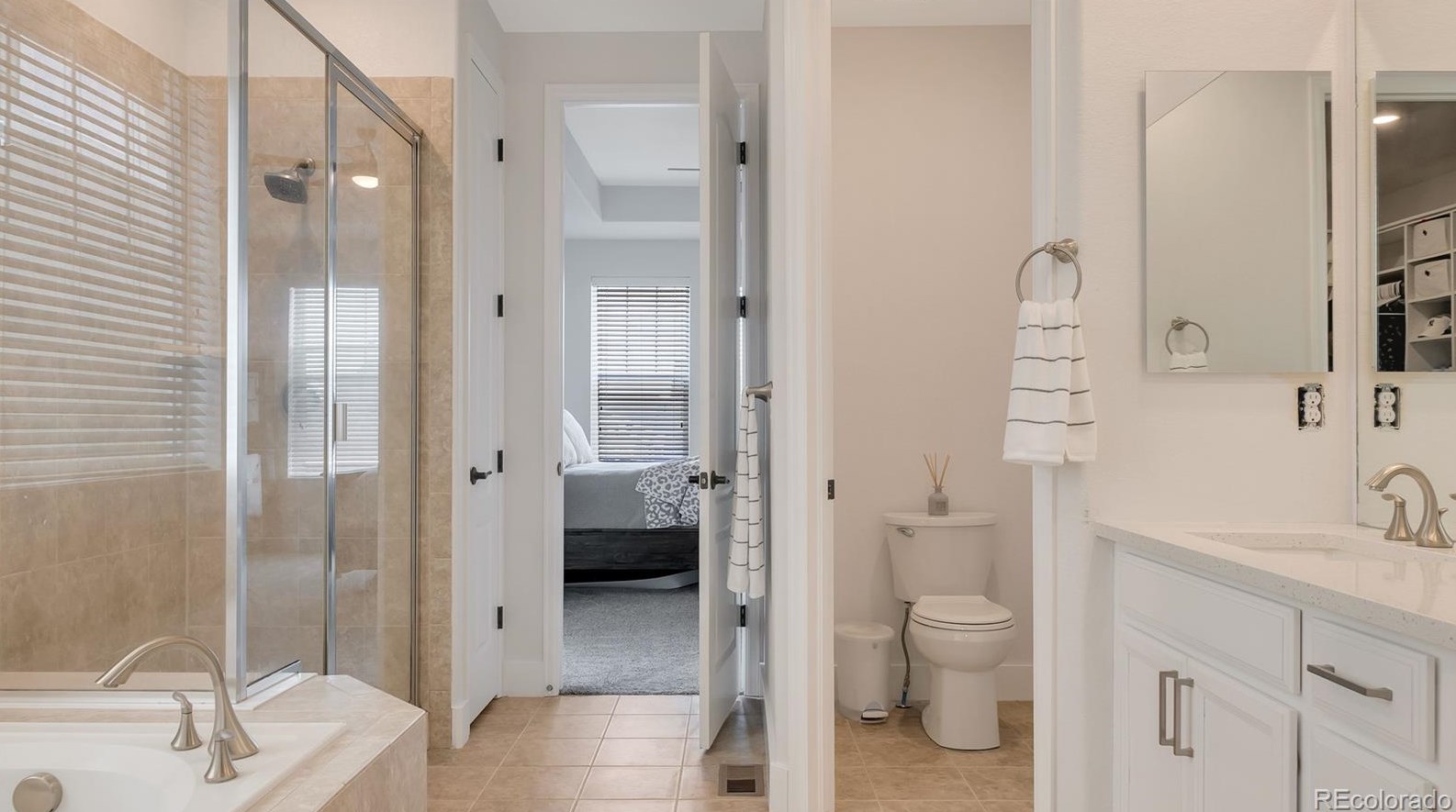 2499 Ambience Ln, Castle Rock CO  80109-3751 exterior