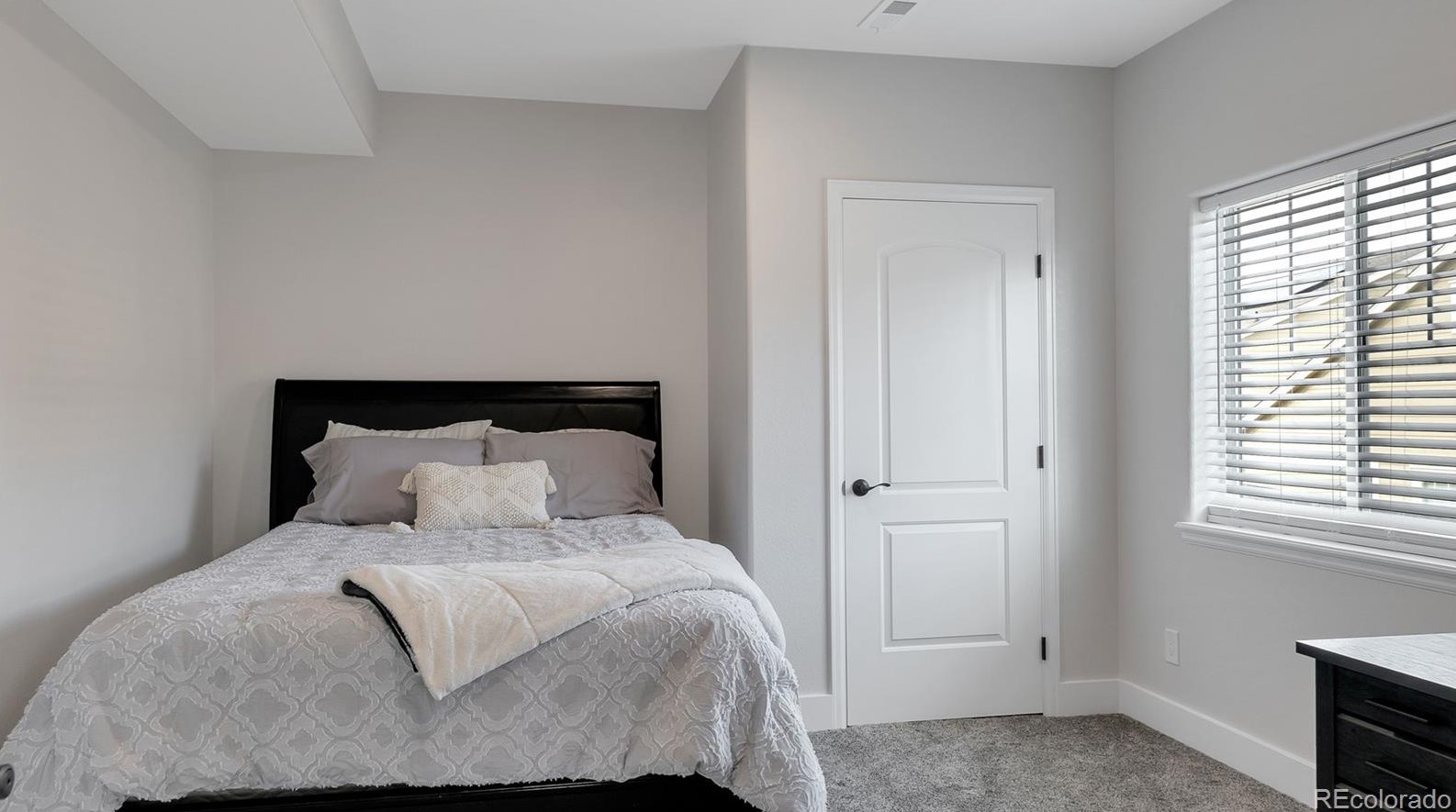 2499 Ambience Ln, Castle Rock CO  80109-3751 exterior