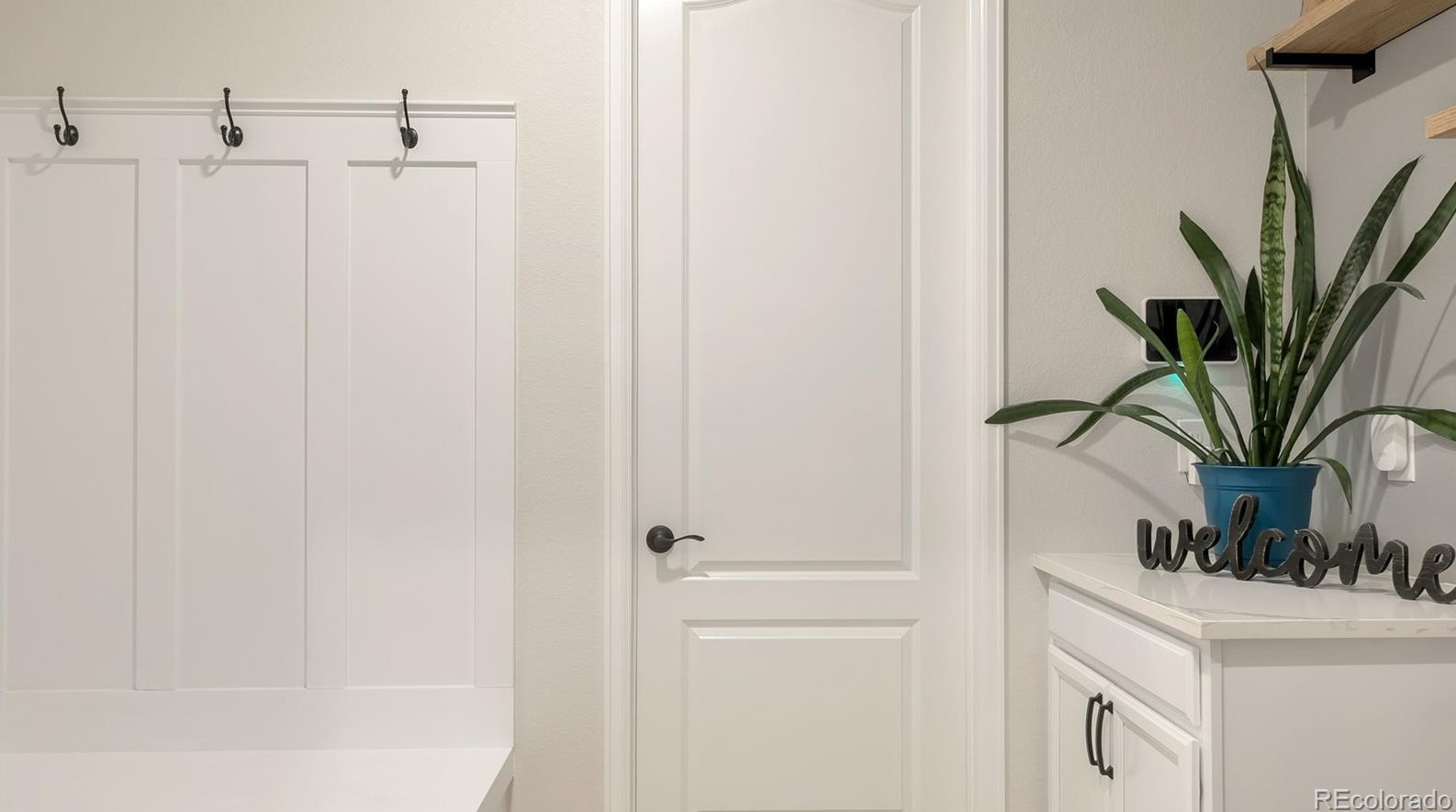 2499 Ambience Ln, Castle Rock CO  80109-3751 exterior