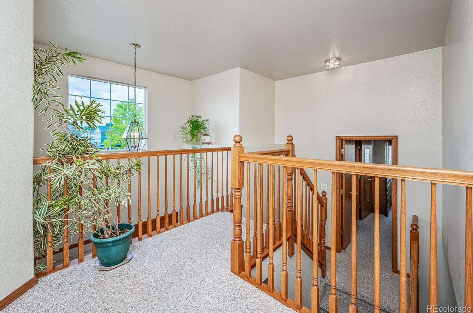 11169 Belmont Ave, Littleton CO 80127-1694 exterior