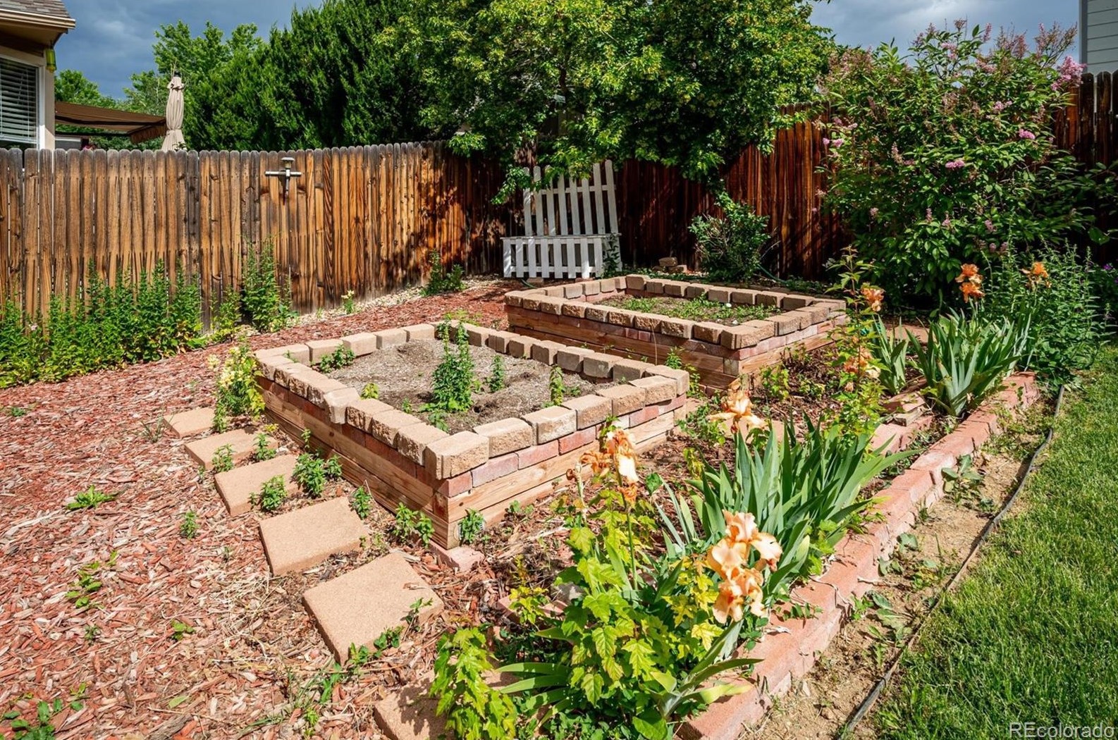 11169 Belmont Ave, Littleton CO 80127-1694 exterior