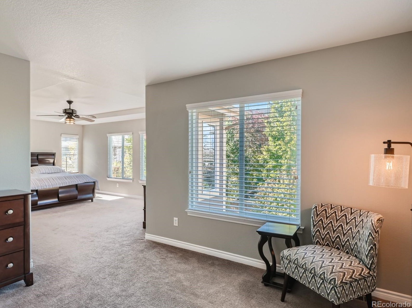 4760 Bluegate Dr, Littleton CO  80130-6600 exterior