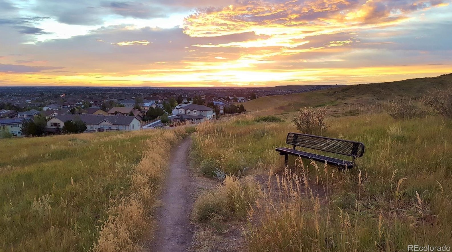 4760 Bluegate Dr, Littleton CO  80130-6600 exterior