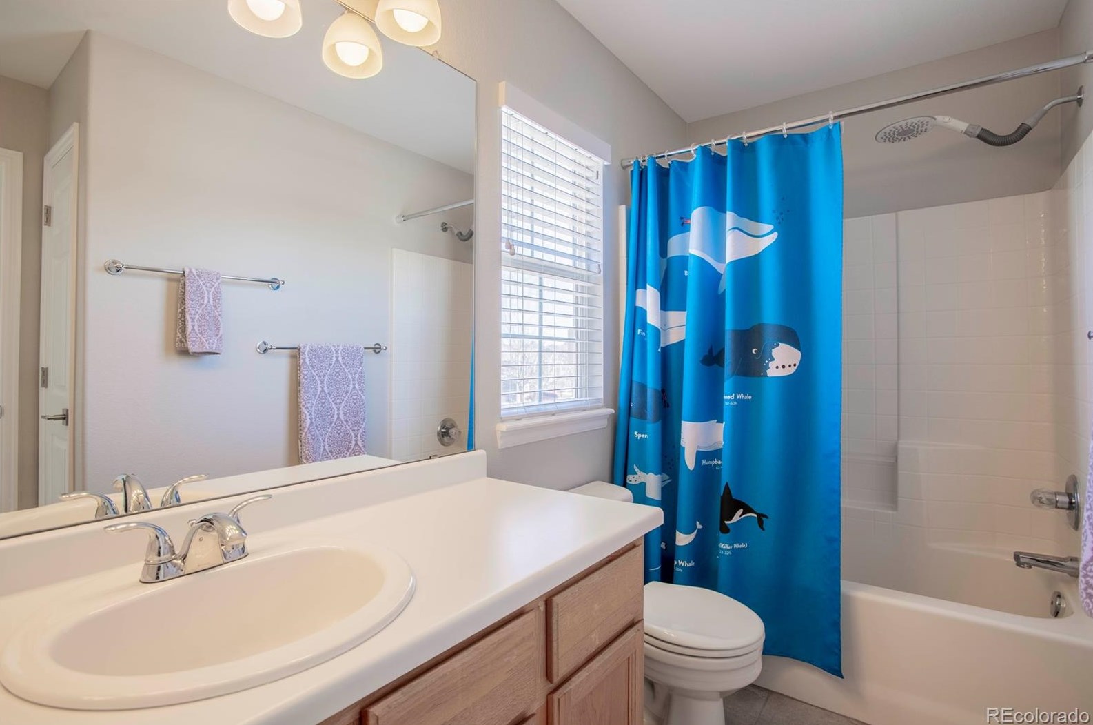 9763 Burberry Way, Littleton CO  80129-6902 exterior