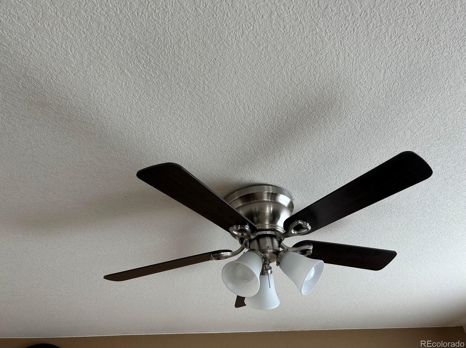 3314 White Oak St, Littleton CO 80129-6307 exterior