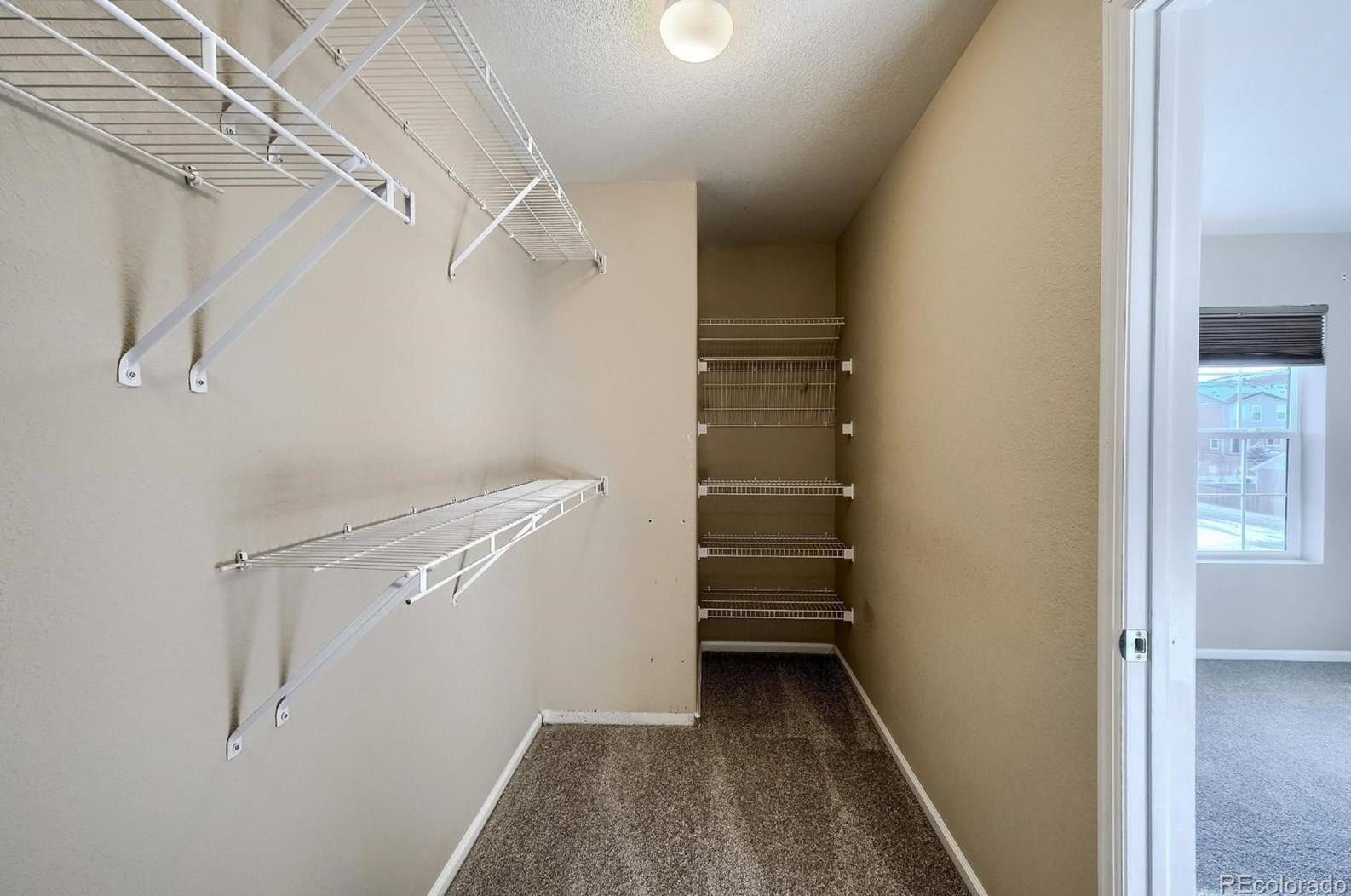 1838 Morningview Ln, Castle Rock CO 80109-3641 exterior