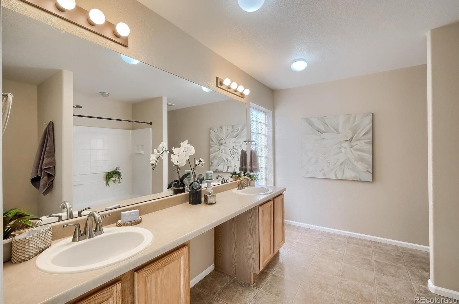 1838 Morningview Ln, Castle Rock CO 80109-3641 exterior